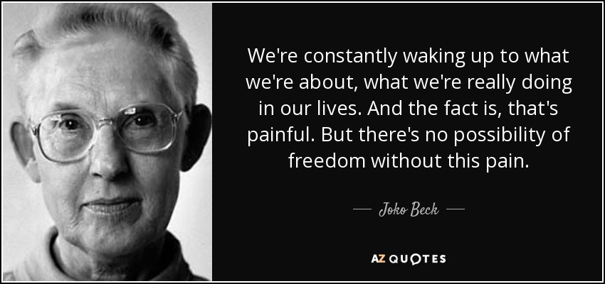 We're constantly waking up to what we're about, what we're really doing in our lives. And the fact is, that's painful. But there's no possibility of freedom without this pain. - Joko Beck