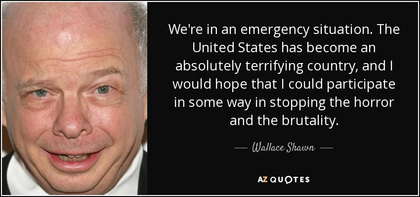 We're in an emergency situation. The United States has become an absolutely terrifying country, and I would hope that I could participate in some way in stopping the horror and the brutality. - Wallace Shawn