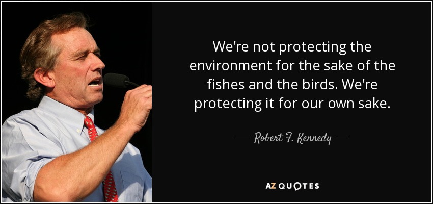 We're not protecting the environment for the sake of the fishes and the birds. We're protecting it for our own sake. - Robert F. Kennedy, Jr.
