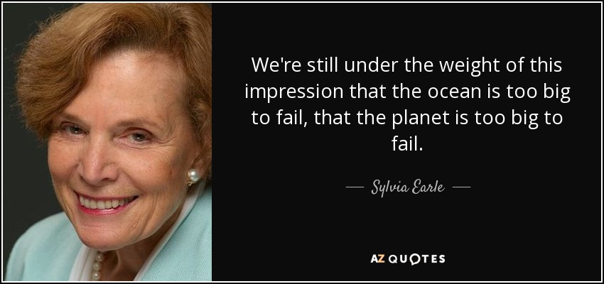We're still under the weight of this impression that the ocean is too big to fail, that the planet is too big to fail. - Sylvia Earle