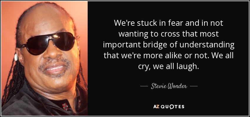 We're stuck in fear and in not wanting to cross that most important bridge of understanding that we're more alike or not. We all cry, we all laugh. - Stevie Wonder