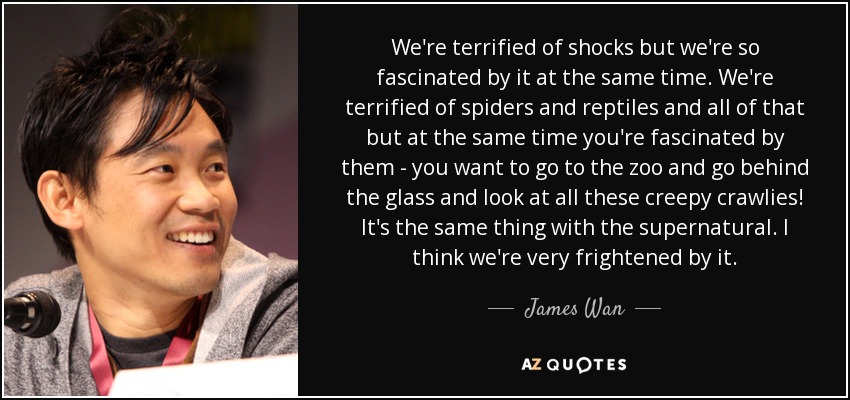 We're terrified of shocks but we're so fascinated by it at the same time. We're terrified of spiders and reptiles and all of that but at the same time you're fascinated by them - you want to go to the zoo and go behind the glass and look at all these creepy crawlies! It's the same thing with the supernatural. I think we're very frightened by it. - James Wan
