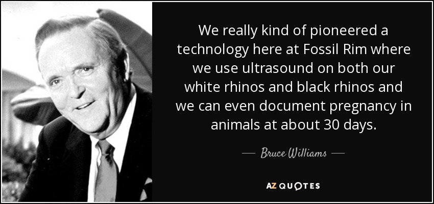 We really kind of pioneered a technology here at Fossil Rim where we use ultrasound on both our white rhinos and black rhinos and we can even document pregnancy in animals at about 30 days. - Bruce Williams