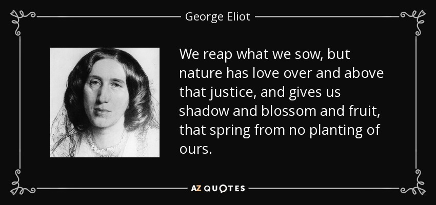 We reap what we sow, but nature has love over and above that justice, and gives us shadow and blossom and fruit, that spring from no planting of ours. - George Eliot