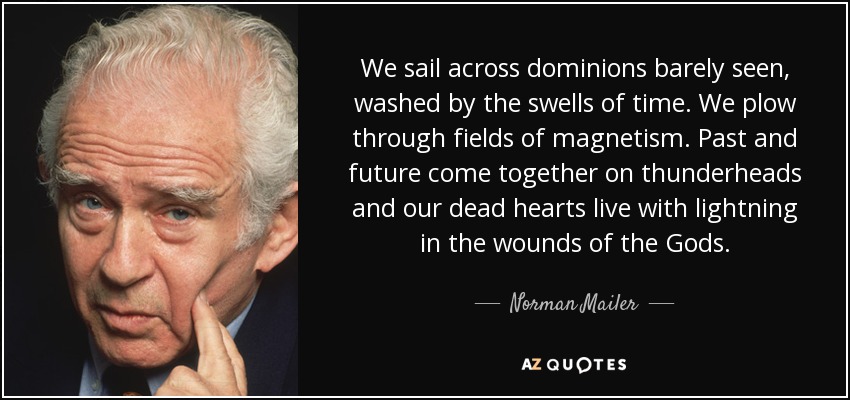 We sail across dominions barely seen, washed by the swells of time. We plow through fields of magnetism. Past and future come together on thunderheads and our dead hearts live with lightning in the wounds of the Gods. - Norman Mailer