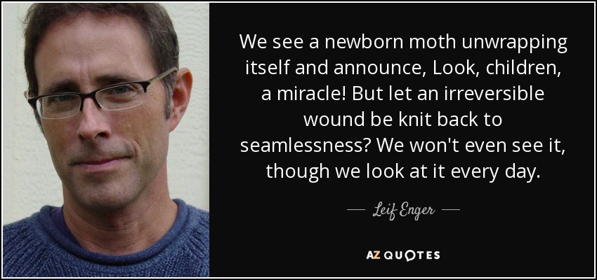 We see a newborn moth unwrapping itself and announce, Look, children, a miracle! But let an irreversible wound be knit back to seamlessness? We won't even see it, though we look at it every day. - Leif Enger