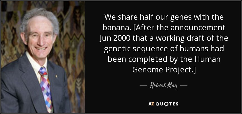 We share half our genes with the banana. [After the announcement Jun 2000 that a working draft of the genetic sequence of humans had been completed by the Human Genome Project.] - Robert May, Baron May of Oxford