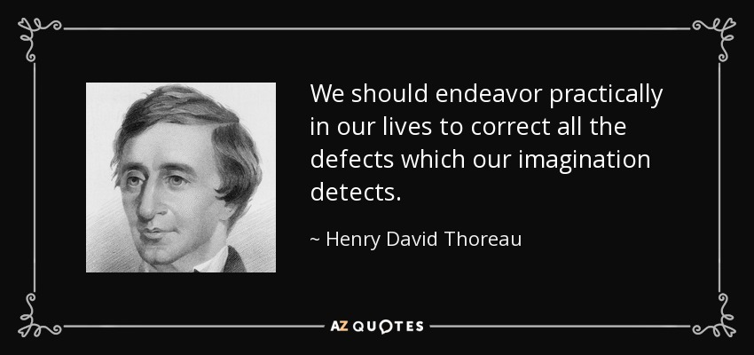 We should endeavor practically in our lives to correct all the defects which our imagination detects. - Henry David Thoreau