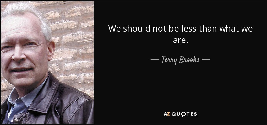 We should not be less than what we are. - Terry Brooks