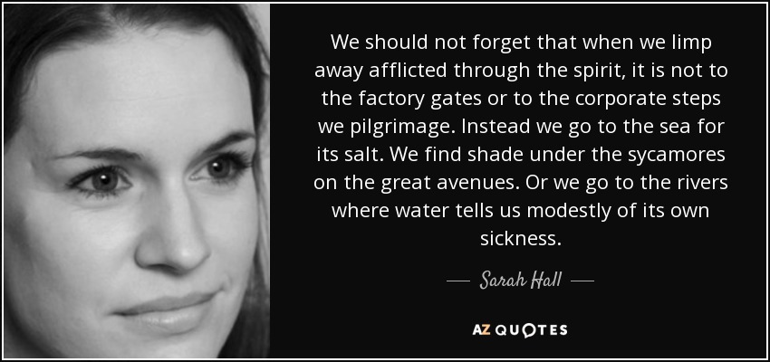We should not forget that when we limp away afflicted through the spirit, it is not to the factory gates or to the corporate steps we pilgrimage. Instead we go to the sea for its salt. We find shade under the sycamores on the great avenues. Or we go to the rivers where water tells us modestly of its own sickness. - Sarah Hall