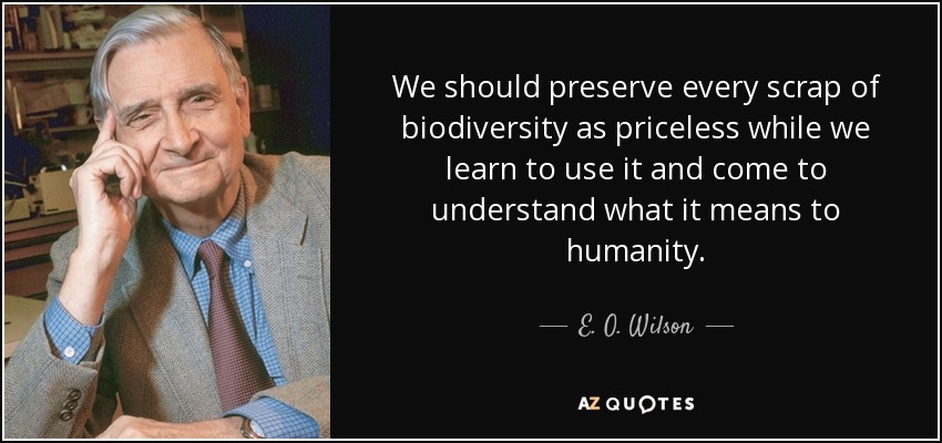 We should preserve every scrap of biodiversity as priceless while we learn to use it and come to understand what it means to humanity. - E. O. Wilson