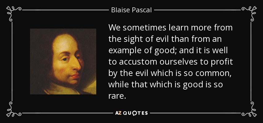 We sometimes learn more from the sight of evil than from an example of good; and it is well to accustom ourselves to profit by the evil which is so common, while that which is good is so rare. - Blaise Pascal
