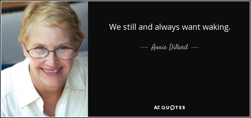 We still and always want waking. - Annie Dillard