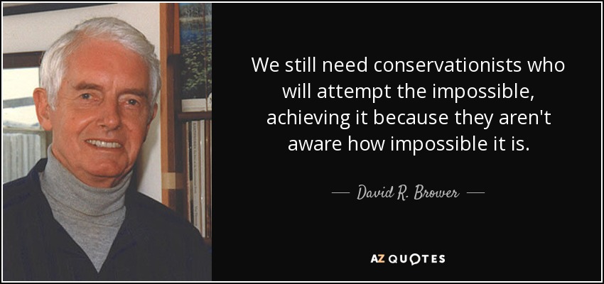 We still need conservationists who will attempt the impossible, achieving it because they aren't aware how impossible it is. - David R. Brower