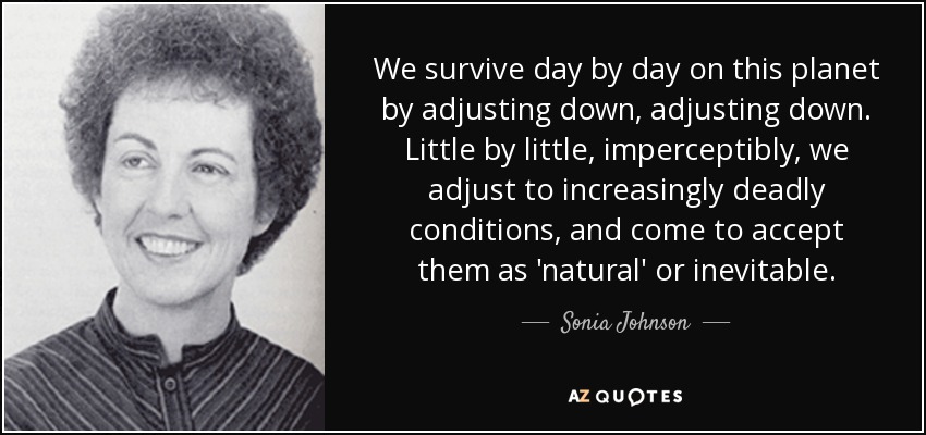 We survive day by day on this planet by adjusting down, adjusting down. Little by little, imperceptibly, we adjust to increasingly deadly conditions, and come to accept them as 'natural' or inevitable. - Sonia Johnson