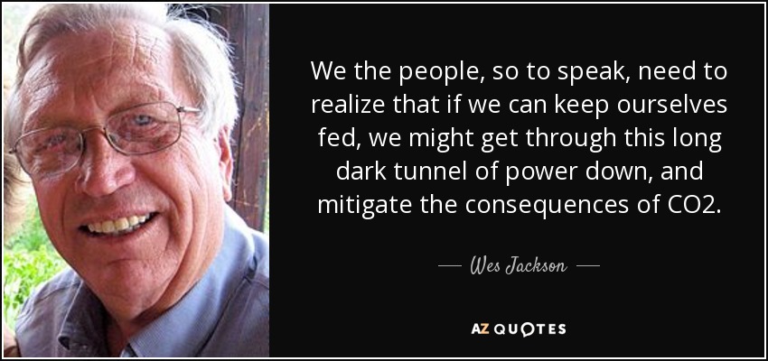 We the people, so to speak, need to realize that if we can keep ourselves fed, we might get through this long dark tunnel of power down, and mitigate the consequences of CO2. - Wes Jackson