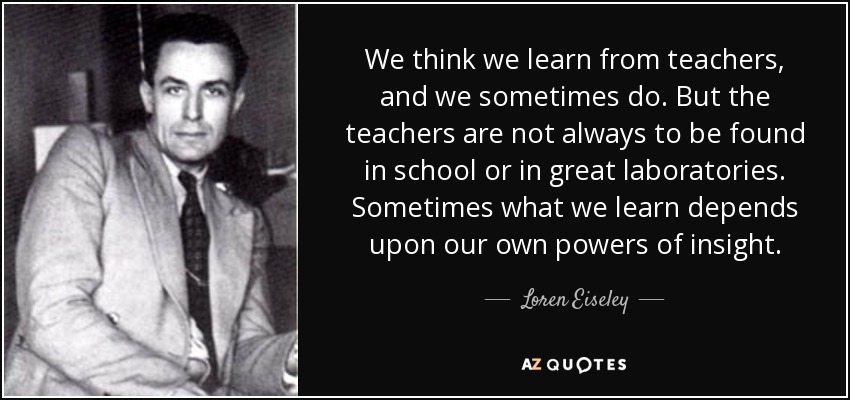 We think we learn from teachers, and we sometimes do. But the teachers are not always to be found in school or in great laboratories. Sometimes what we learn depends upon our own powers of insight. - Loren Eiseley