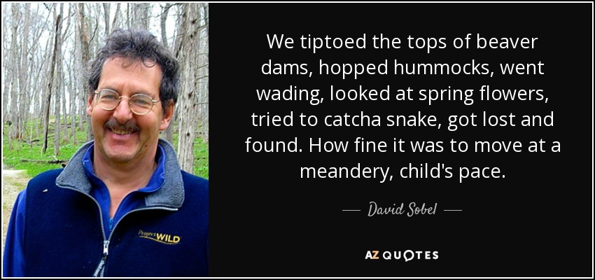 We tiptoed the tops of beaver dams, hopped hummocks, went wading, looked at spring flowers, tried to catcha snake, got lost and found. How fine it was to move at a meandery, child's pace. - David Sobel