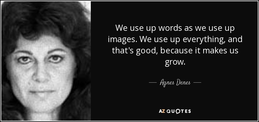 We use up words as we use up images. We use up everything, and that's good, because it makes us grow. - Agnes Denes