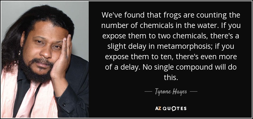 We've found that frogs are counting the number of chemicals in the water. If you expose them to two chemicals, there's a slight delay in metamorphosis; if you expose them to ten, there's even more of a delay. No single compound will do this. - Tyrone Hayes