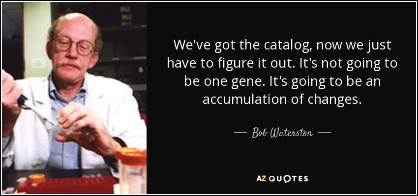 We've got the catalog, now we just have to figure it out. It's not going to be one gene. It's going to be an accumulation of changes. - Bob Waterston