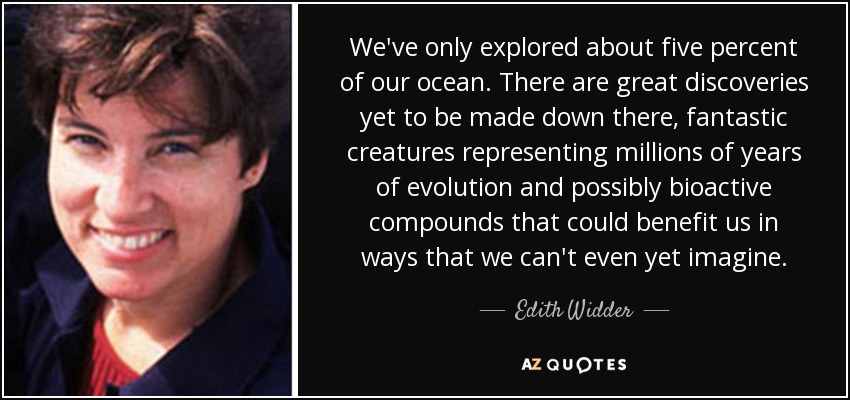 We've only explored about five percent of our ocean. There are great discoveries yet to be made down there, fantastic creatures representing millions of years of evolution and possibly bioactive compounds that could benefit us in ways that we can't even yet imagine. - Edith Widder