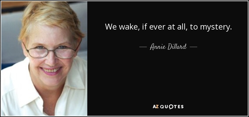 We wake, if ever at all, to mystery. - Annie Dillard