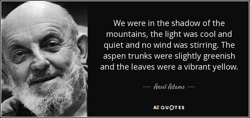 We were in the shadow of the mountains, the light was cool and quiet and no wind was stirring. The aspen trunks were slightly greenish and the leaves were a vibrant yellow. - Ansel Adams