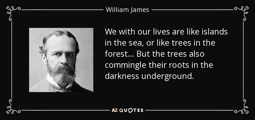 We with our lives are like islands in the sea, or like trees in the forest... But the trees also commingle their roots in the darkness underground. - William James