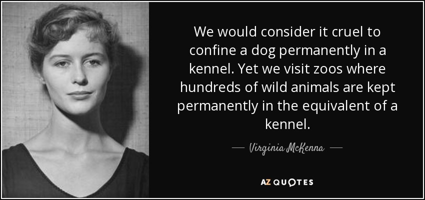We would consider it cruel to confine a dog permanently in a kennel. Yet we visit zoos where hundreds of wild animals are kept permanently in the equivalent of a kennel. - Virginia McKenna