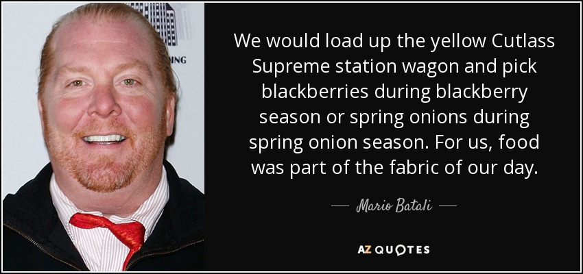 We would load up the yellow Cutlass Supreme station wagon and pick blackberries during blackberry season or spring onions during spring onion season. For us, food was part of the fabric of our day. - Mario Batali