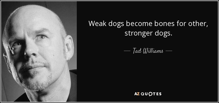 Weak dogs become bones for other, stronger dogs. - Tad Williams