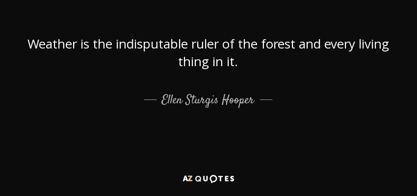 Weather is the indisputable ruler of the forest and every living thing in it. - Ellen Sturgis Hooper