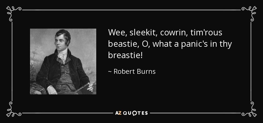 Wee, sleekit, cowrin, tim'rous beastie, O, what a panic's in thy breastie! - Robert Burns