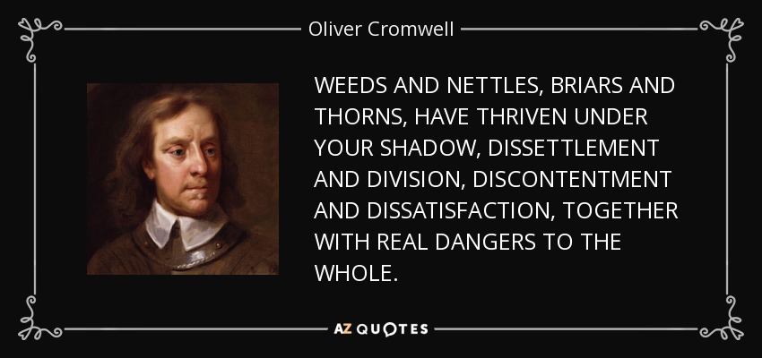 WEEDS AND NETTLES, BRIARS AND THORNS, HAVE THRIVEN UNDER YOUR SHADOW, DISSETTLEMENT AND DIVISION, DISCONTENTMENT AND DISSATISFACTION, TOGETHER WITH REAL DANGERS TO THE WHOLE. - Oliver Cromwell