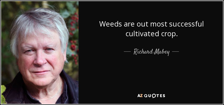 Weeds are out most successful cultivated crop. - Richard Mabey