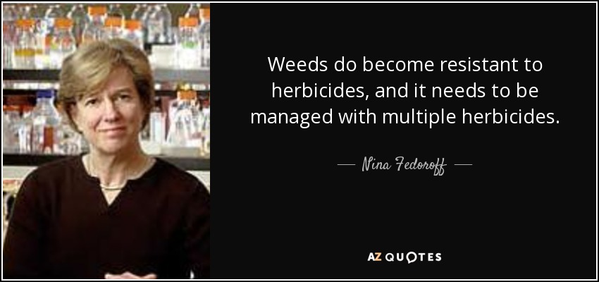 Weeds do become resistant to herbicides, and it needs to be managed with multiple herbicides. - Nina Fedoroff