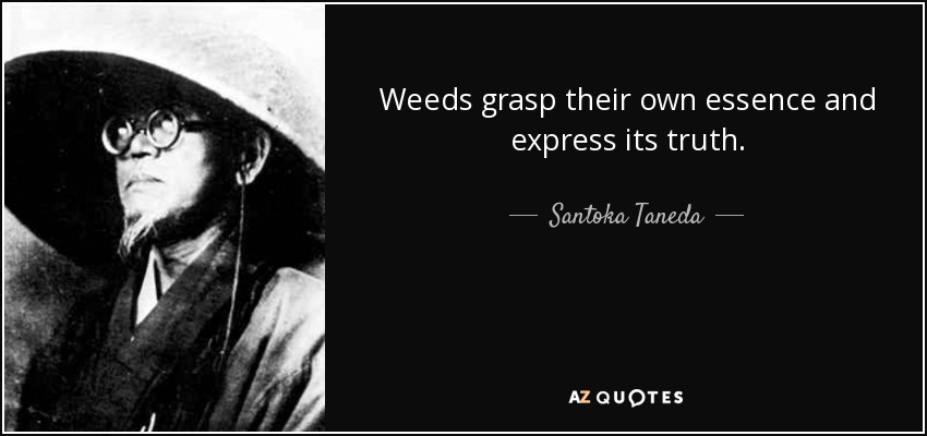 Weeds grasp their own essence and express its truth. - Santoka Taneda