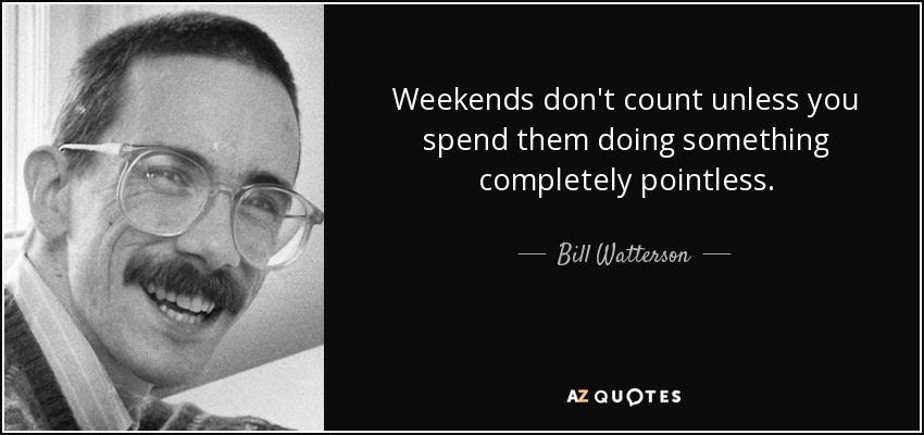 Weekends don't count unless you spend them doing something completely pointless. - Bill Watterson