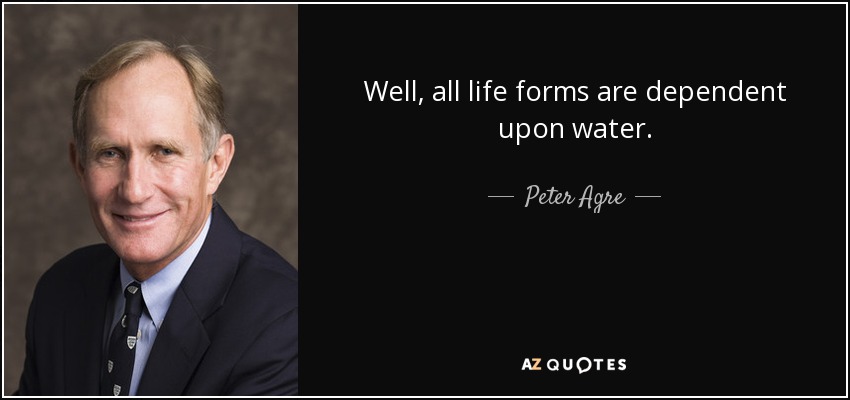 Well, all life forms are dependent upon water. - Peter Agre