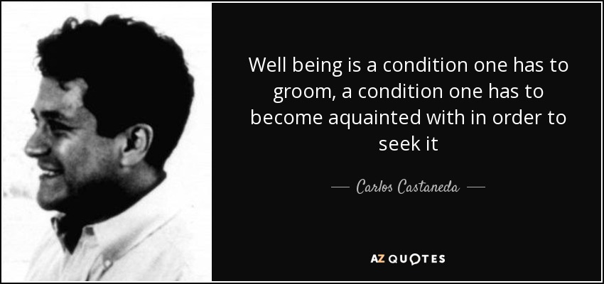 Well being is a condition one has to groom, a condition one has to become aquainted with in order to seek it - Carlos Castaneda