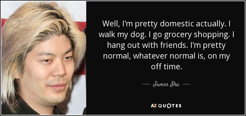 Well, I'm pretty domestic actually. I walk my dog. I go grocery shopping. I hang out with friends. I'm pretty normal, whatever normal is, on my off time. - James Iha