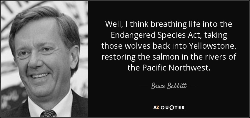 Well, I think breathing life into the Endangered Species Act, taking those wolves back into Yellowstone, restoring the salmon in the rivers of the Pacific Northwest. - Bruce Babbitt