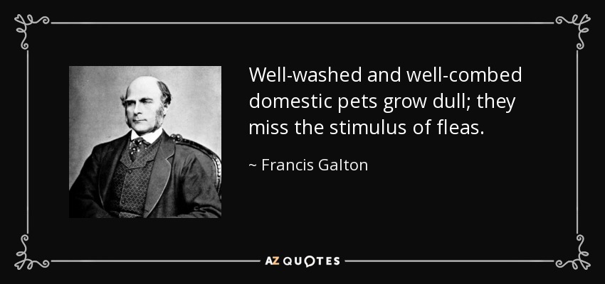 Well-washed and well-combed domestic pets grow dull; they miss the stimulus of fleas. - Francis Galton