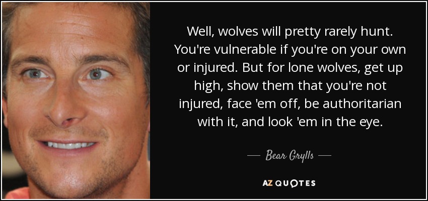 Well, wolves will pretty rarely hunt. You're vulnerable if you're on your own or injured. But for lone wolves, get up high, show them that you're not injured, face 'em off, be authoritarian with it, and look 'em in the eye. - Bear Grylls