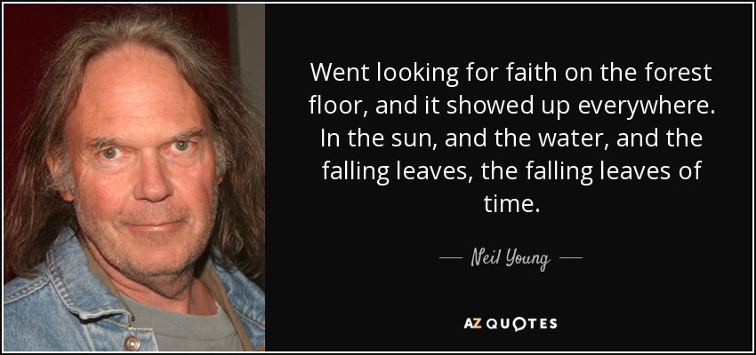 Went looking for faith on the forest floor, and it showed up everywhere. In the sun, and the water, and the falling leaves, the falling leaves of time. - Neil Young