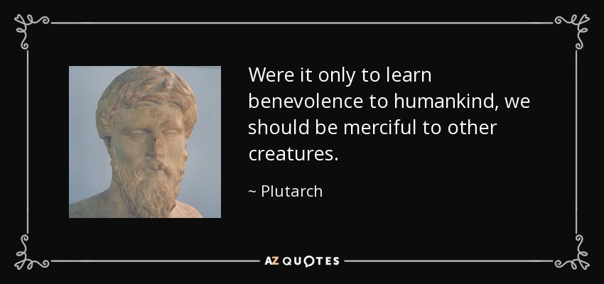Were it only to learn benevolence to humankind, we should be merciful to other creatures. - Plutarch