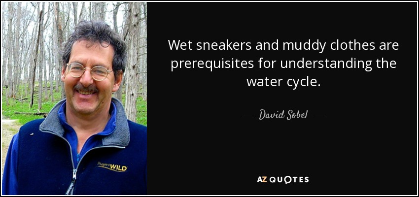 Wet sneakers and muddy clothes are prerequisites for understanding the water cycle. - David Sobel
