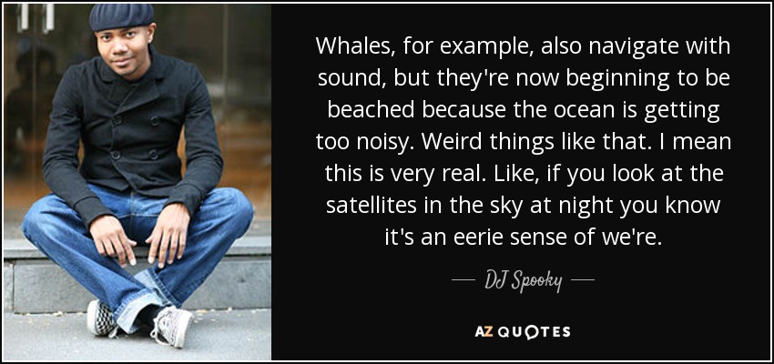 Whales, for example, also navigate with sound, but they're now beginning to be beached because the ocean is getting too noisy. Weird things like that. I mean this is very real. Like, if you look at the satellites in the sky at night you know it's an eerie sense of we're. - DJ Spooky