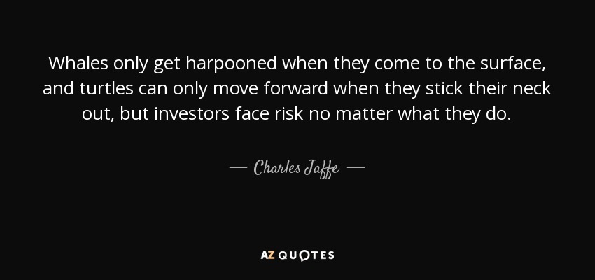 Whales only get harpooned when they come to the surface, and turtles can only move forward when they stick their neck out, but investors face risk no matter what they do. - Charles Jaffe